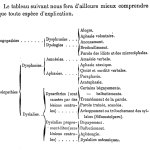 Lire la suite à propos de l’article Histoire de la parole en psychiatrie au XIXe siècle